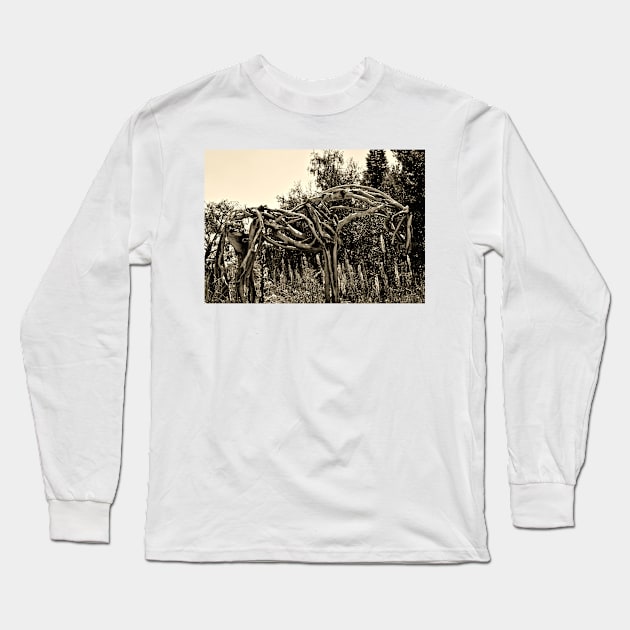 Old Wooden Horse Long Sleeve T-Shirt by Scubagirlamy